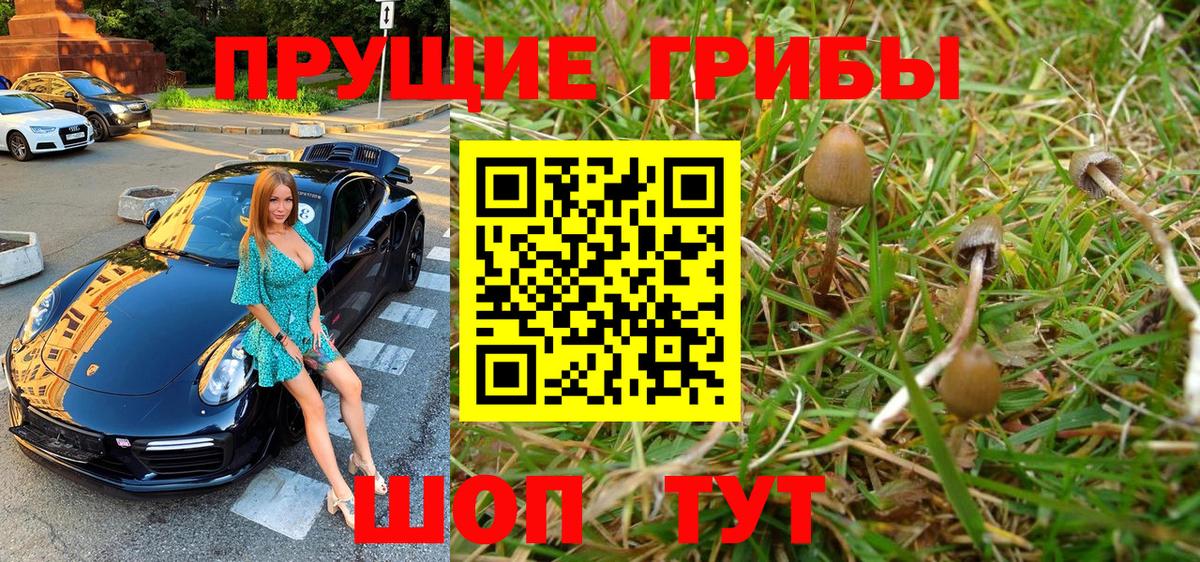 Янаул  Псилоцибиновые грибы мицелий  Галлюциногенные грибы Psilocybe  Вход с VPN 